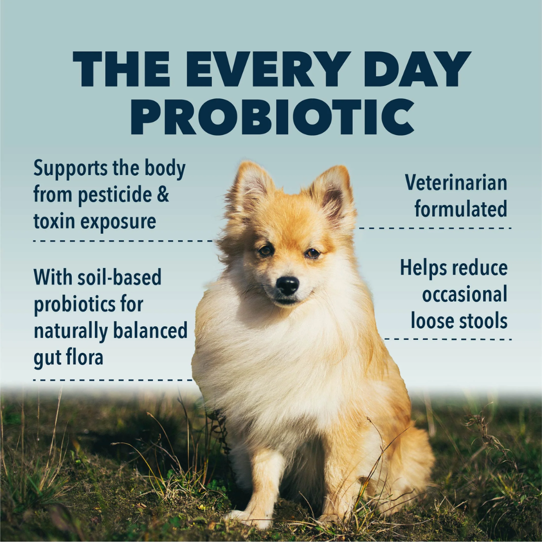 Four Leaf Rover - Protect - Soil Based Pro & Prebiotics 115.5g