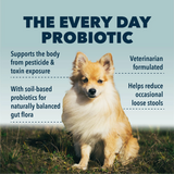 Four Leaf Rover - Protect - Soil Based Pro & Prebiotics 115.5g