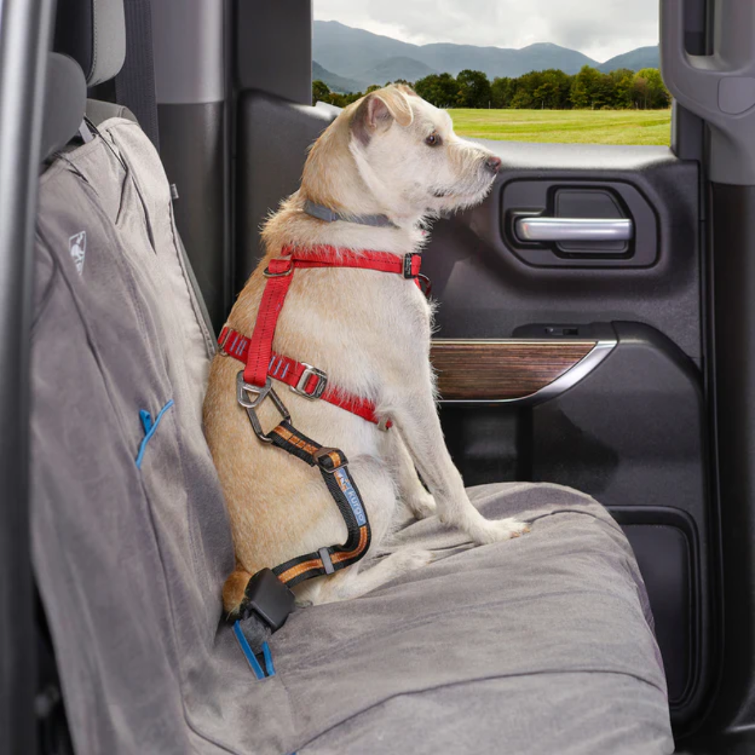 Kurgo Dog Seat Belt Direct to Seatbelt Tether Fetch Your Pet Needs