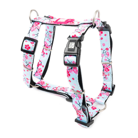 Max and Molly Cherry Blossom H Harness