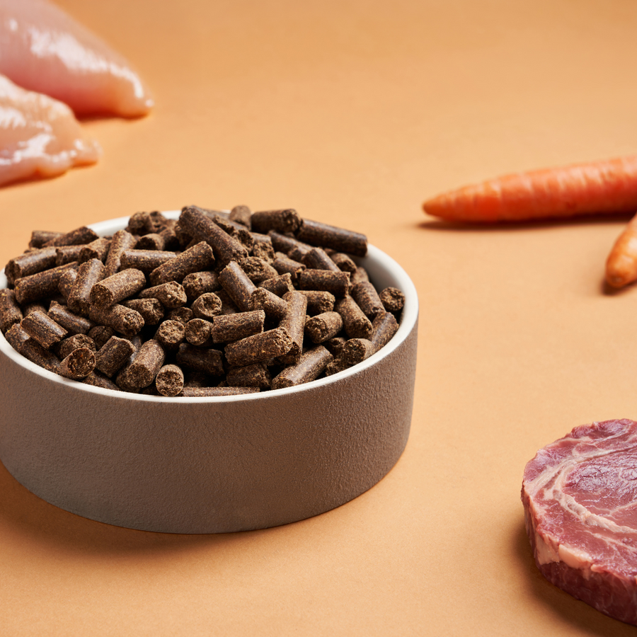 DARF Cold Regular Pressed Dog Food