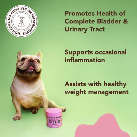 French Bulldog sitting with a tub of Urinary & Bladder chews, to the left of text saying "Promotes health of complete bladder and urinary tract, supports occasional inflammation and assists with healthy weight management"