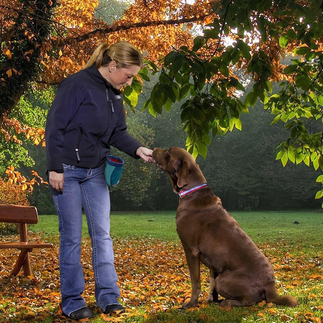 Dog Training Treat Bag | Kurgo Go Stuff It