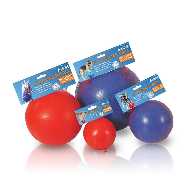 Boomer Ball for Dogs Fetch Your Pet Needs