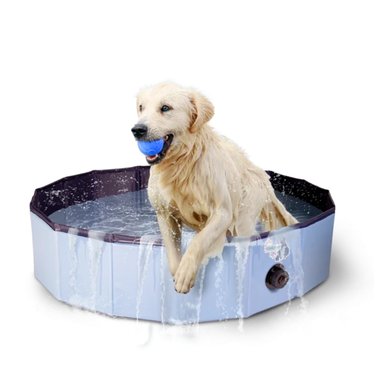 Paddling Pool for Dogs