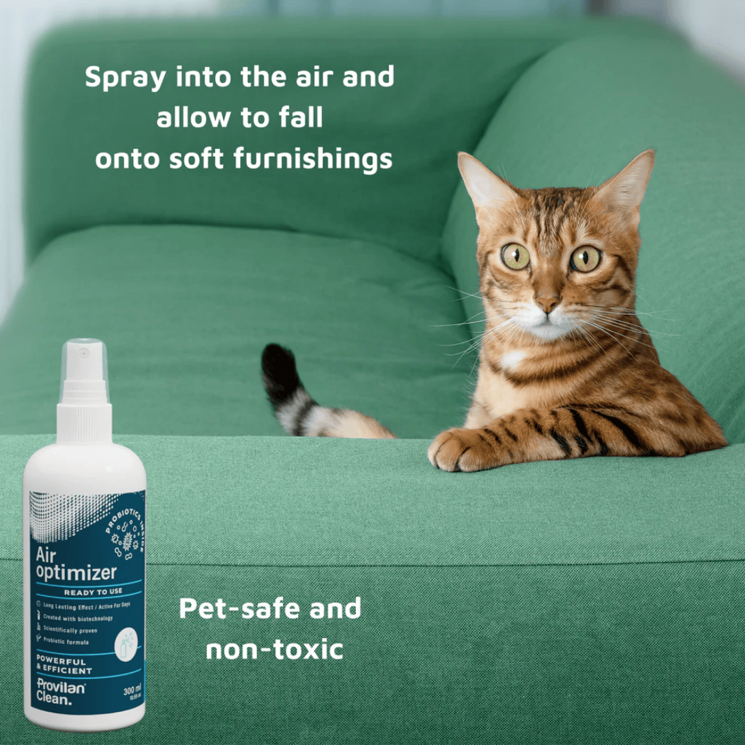Air Optimizer Spray 300ml | Provilan evaa+
