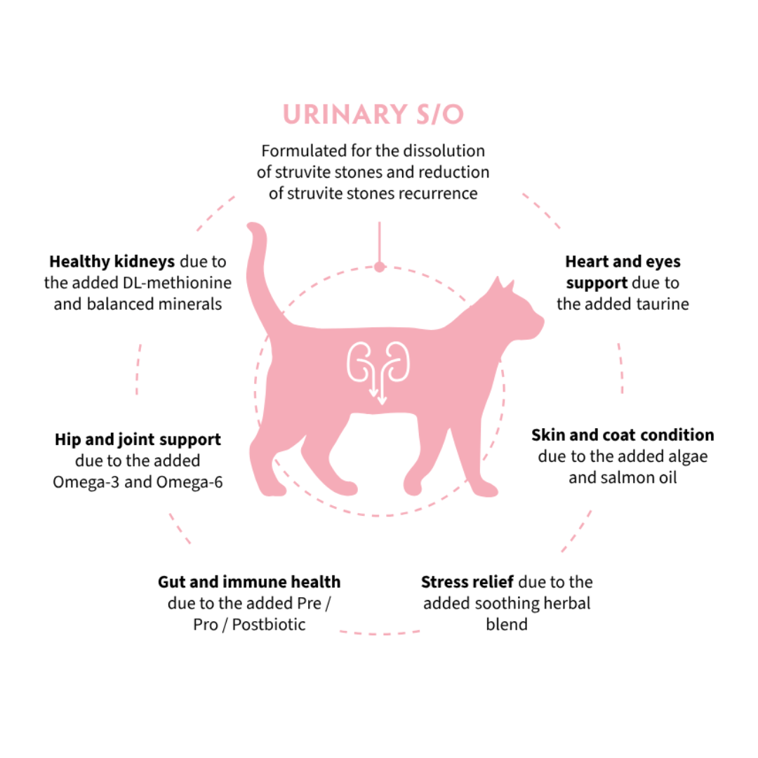 Grandorf Vet Urinary S/O Cat Food - Turkey