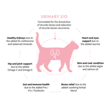 Grandorf Vet Urinary S/O Cat Food - Turkey