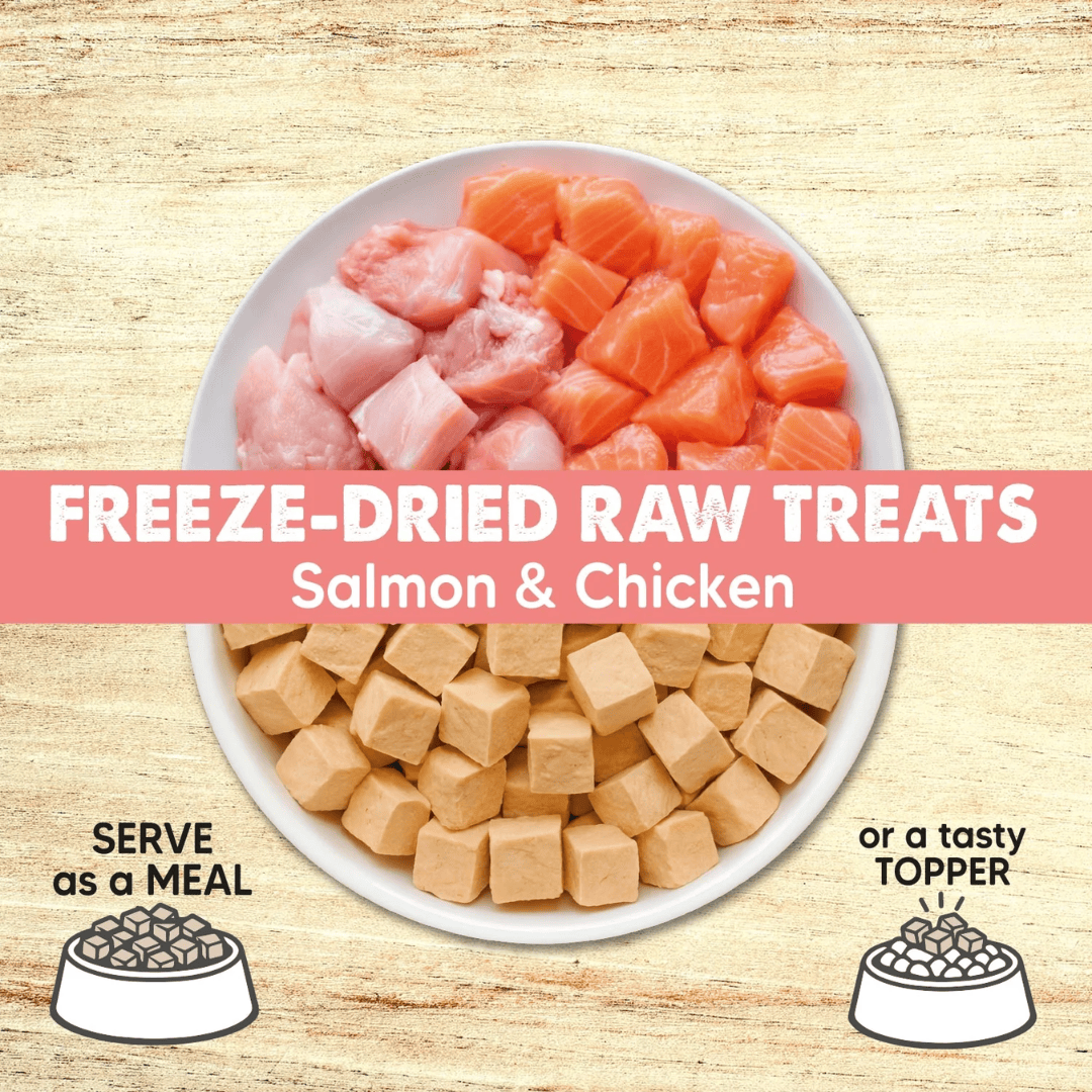 Arquivet Freeze Dried Raw Treats - Salmon & Chicken Cubes