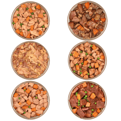 Arquivet Fresh Home Variety 6 Pack