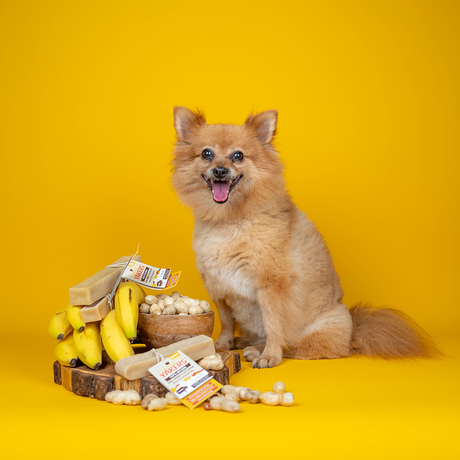 Yakers Peanut Butter & Banana Himalayan Yak Chew
