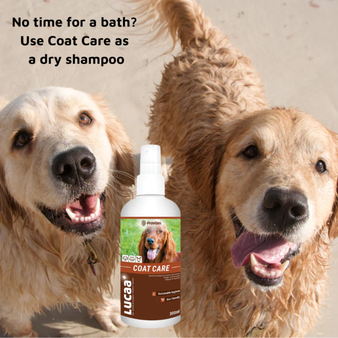 Natural Coat Care Spray |Provilan Lucaa+