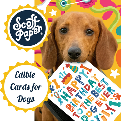 Scoff Paper Edible Christmas Cards for Dogs - Christmas Dinner
