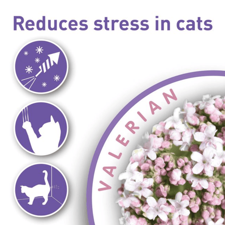 Beaphar Calming Cat Treats 35g