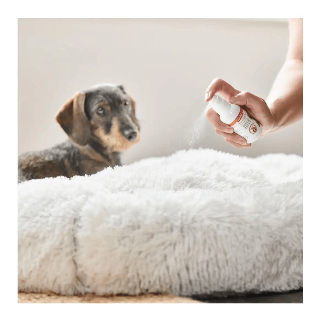 Beaphar CaniComfort Calming Spray for Dogs 30ml