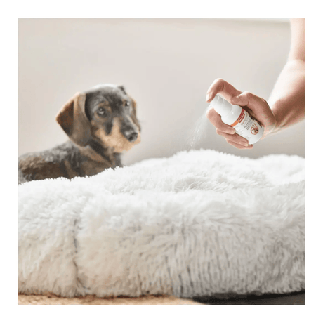 Beaphar CaniComfort Calming Spray for Dogs 30ml