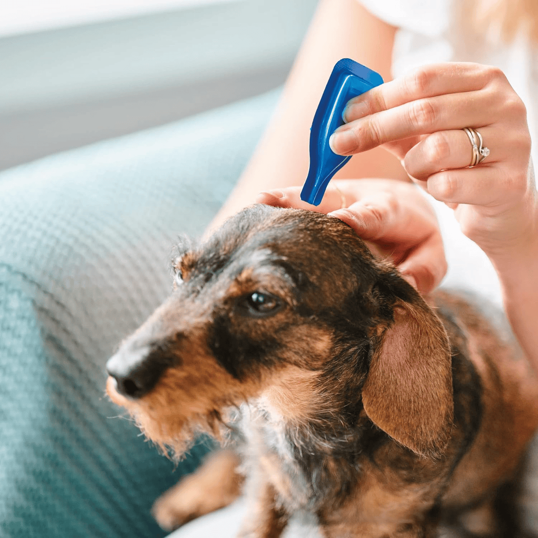 Beaphar StressLess Calming Spot On For Dogs
