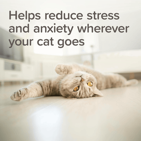 Beaphar StressLess Calming Spot On For Cats