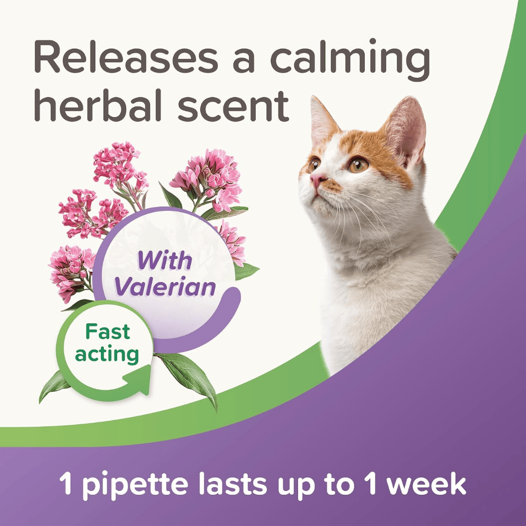 Beaphar StressLess Calming Spot On For Cats