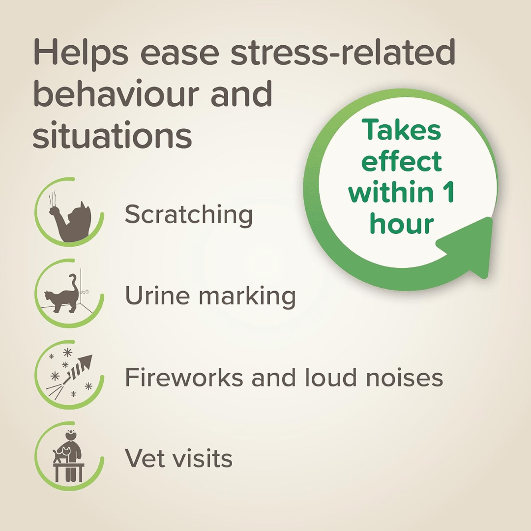 Beaphar StressLess Calming Spot On For Cats
