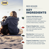Four Leaf Rover - Red Rover - Organic Berry Blend