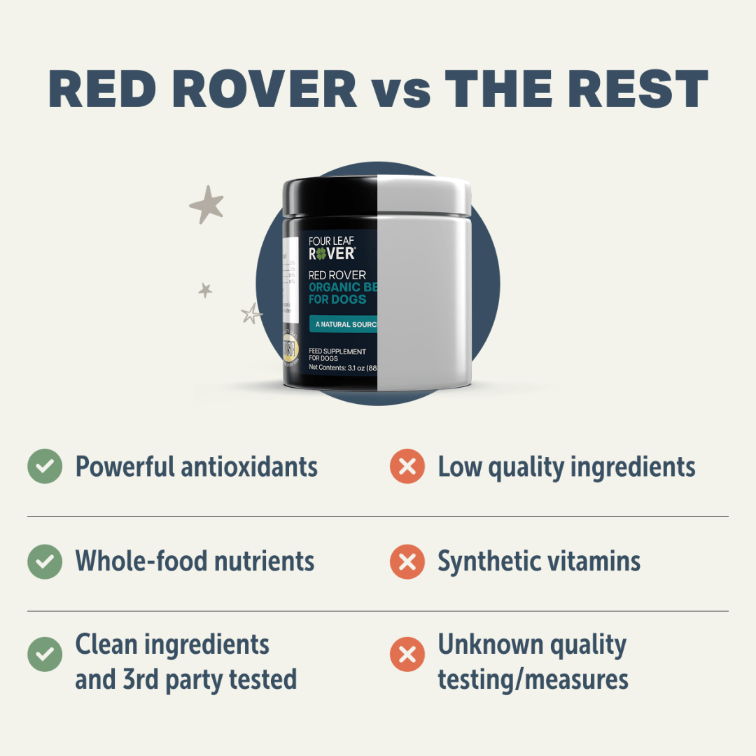 Four Leaf Rover - Red Rover - Organic Berry Blend