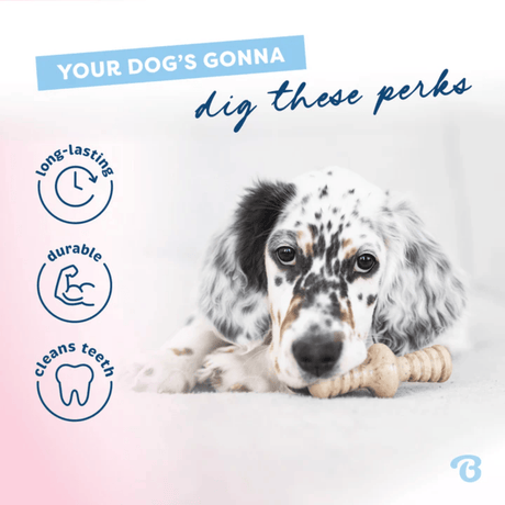Benebone Maple Wood & Bacon Puppy 2pk