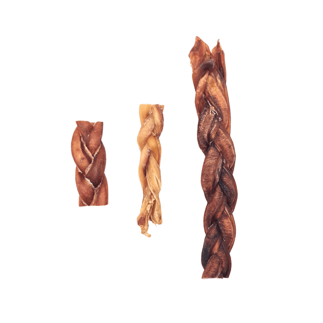 Bull Pizzle Plaits in 3 sizes
