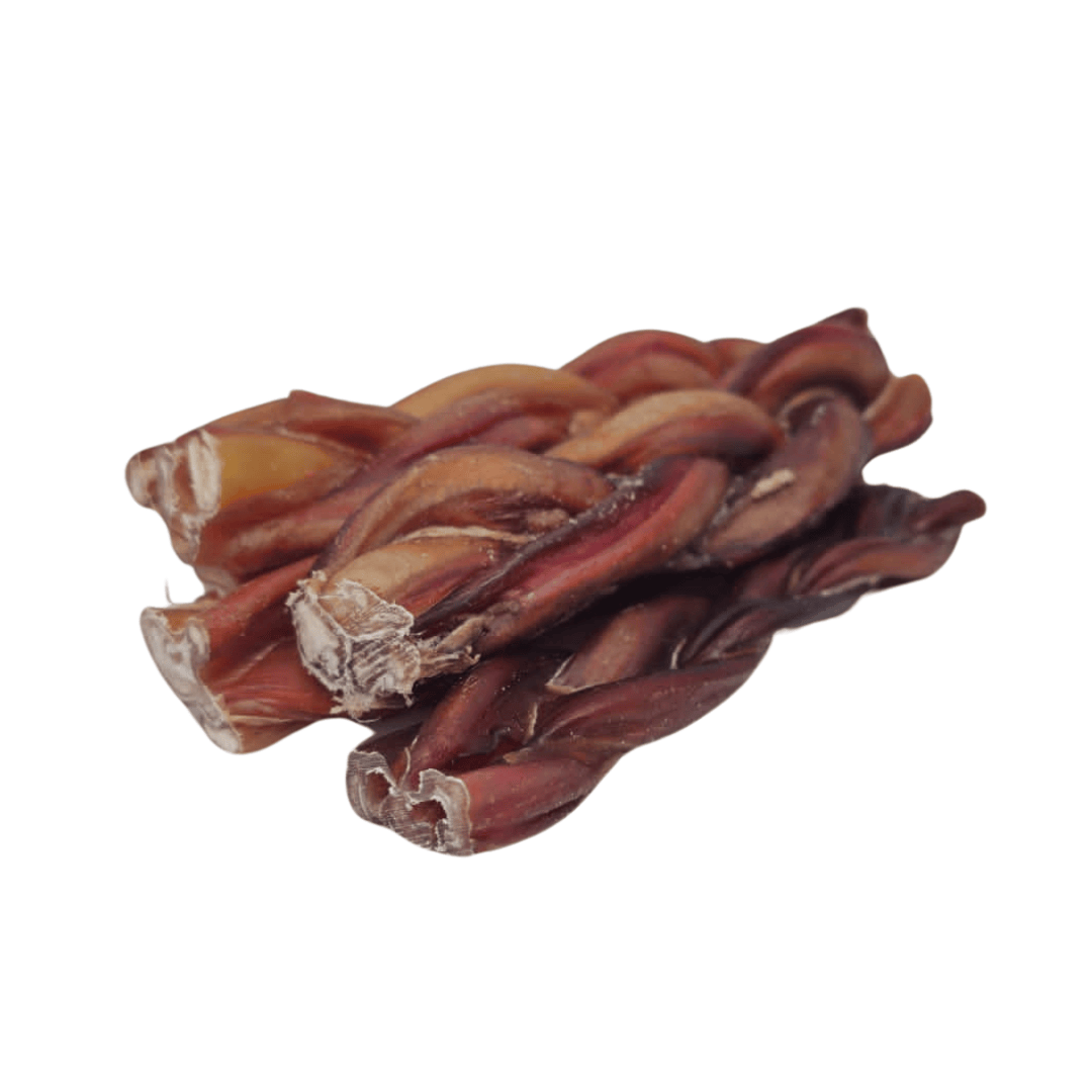 Bunch of bull pizzle plaits on a white background 