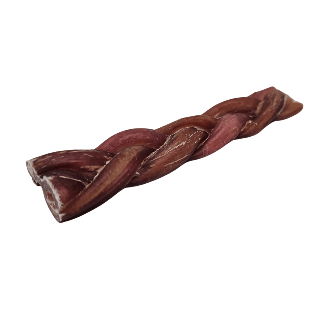 15cm Bull Pizzle Plait on a white background 