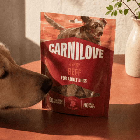 Carnilove Beef and Beef Muscle Meat Jerky