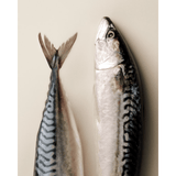 Carnilove Mackerel with Raspberries Treats