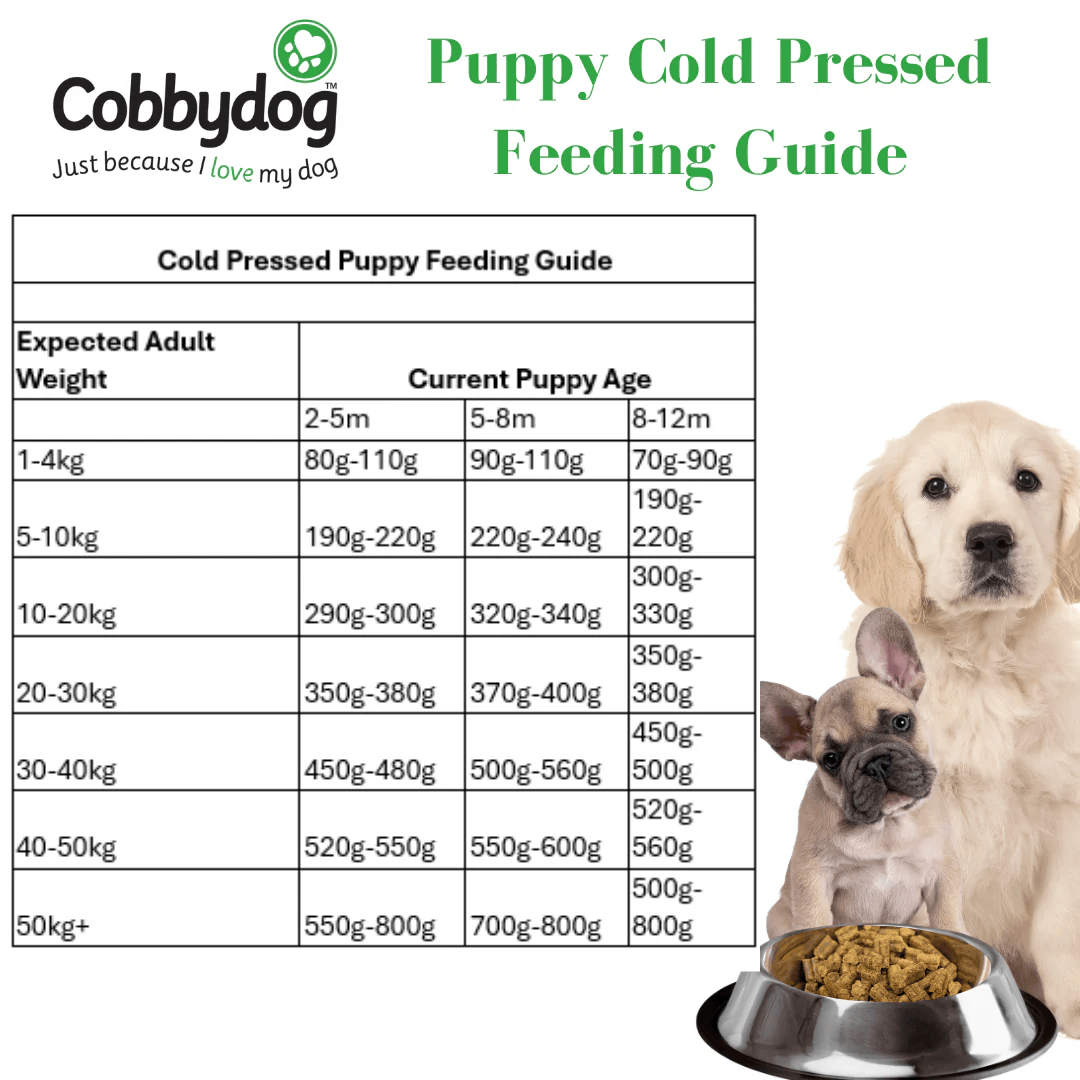 Cobbydog Salmon and Squash Cold Pressed Dog Food