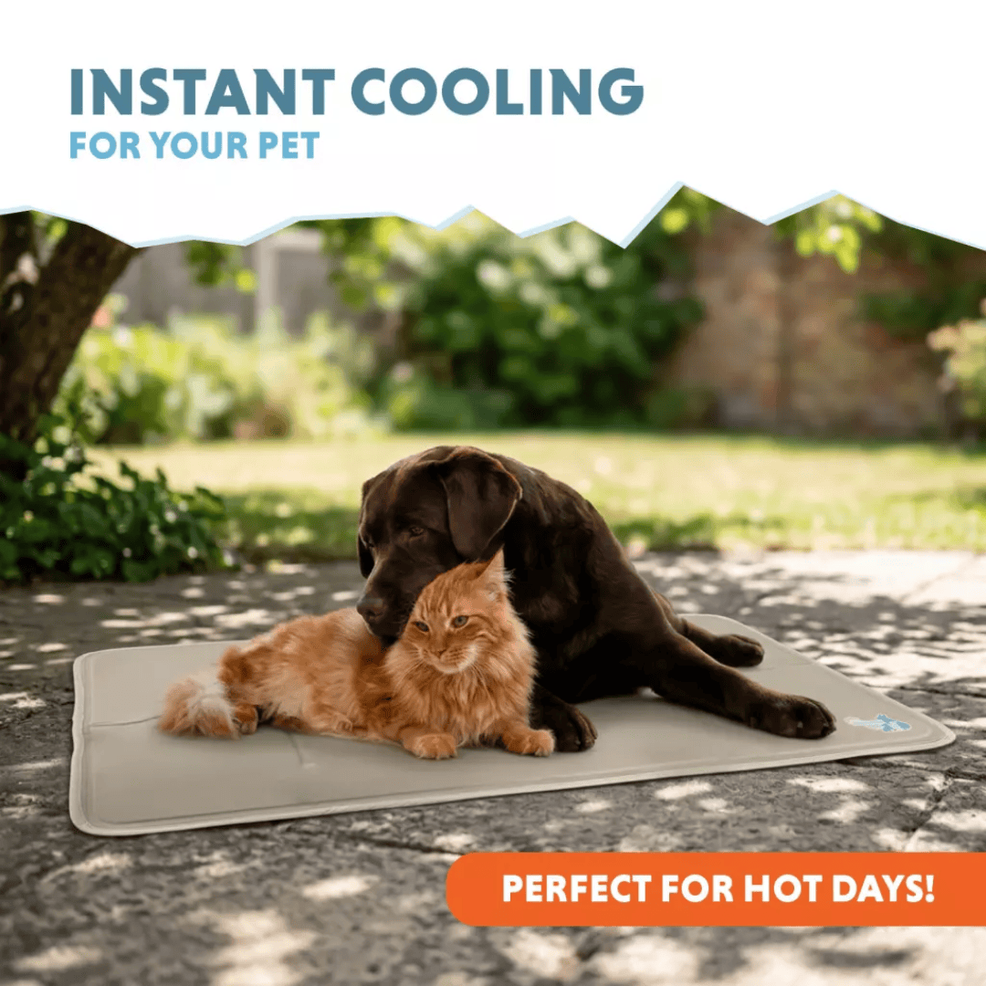 Dog Cooling Mat