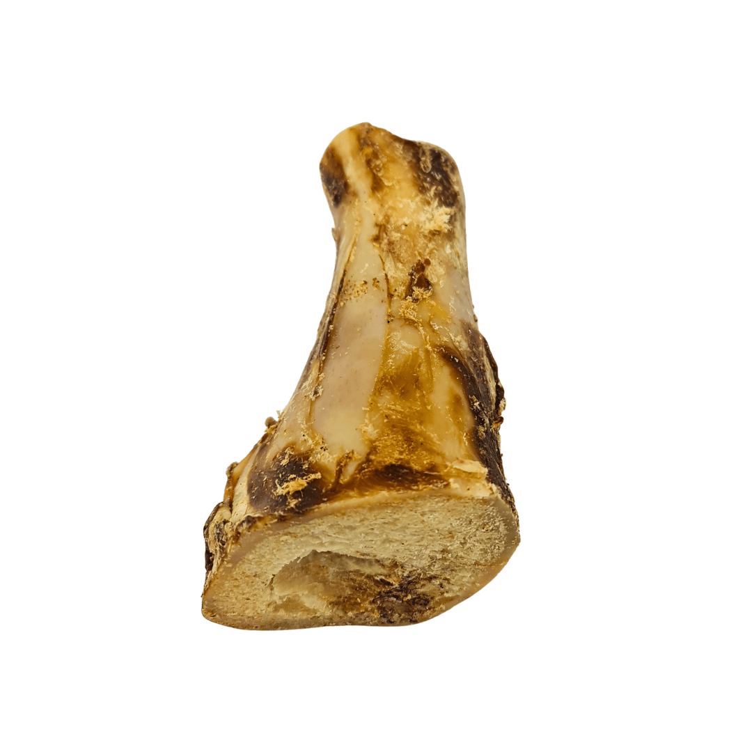Cut Beef Bone