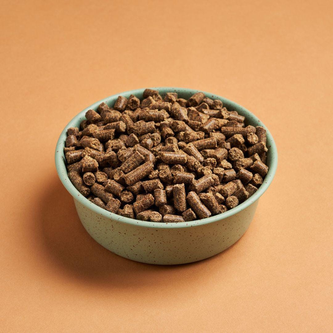 Pet Food Insect DARF Insect Cold Pressed Dog Food