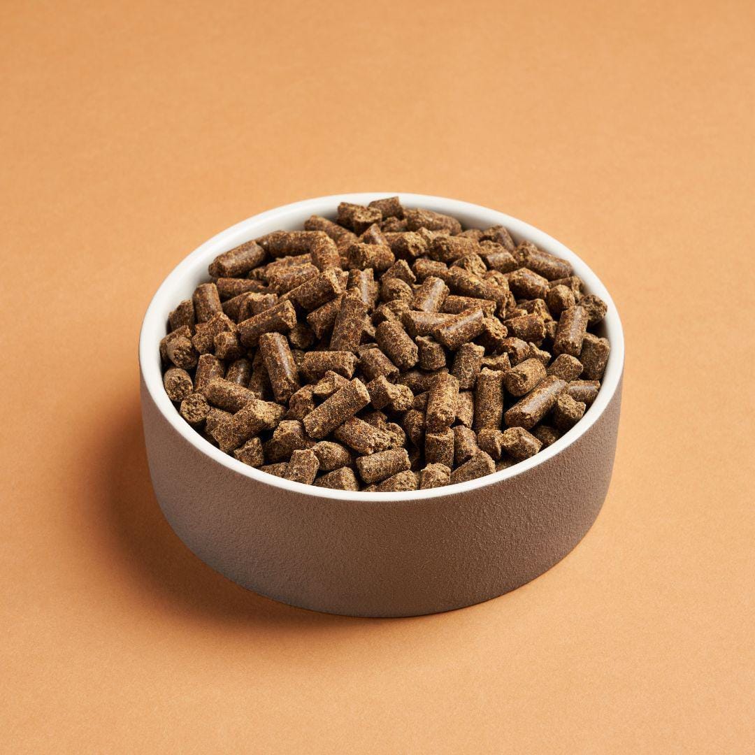 Pet Food Insect DARF Insect Cold Pressed Dog Food