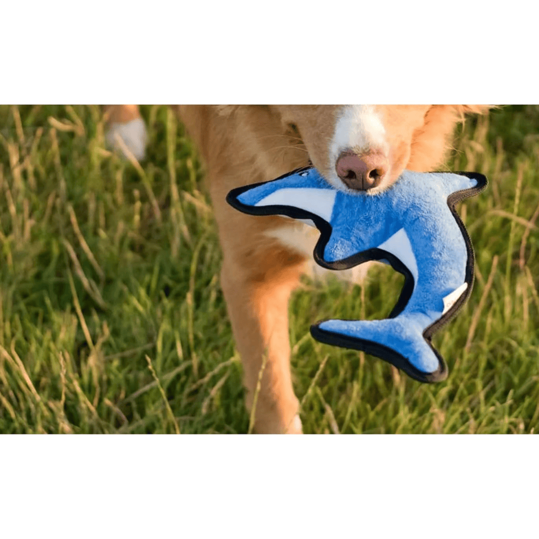 Beco Recycled Dolphin Dog Toy