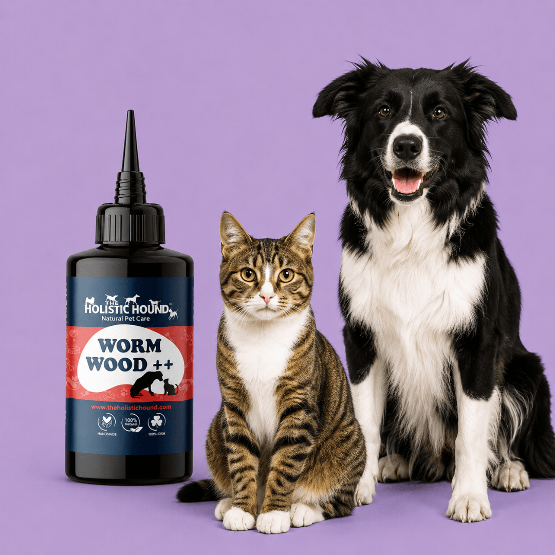 Natural Flea, Tick & Worm Care Pack