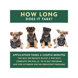 An explanation of how long the EcoEars application process takes. There are pictures of dogs with clocks too.