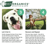 Steps 3 and 4 of the EcoEars user guidelines.