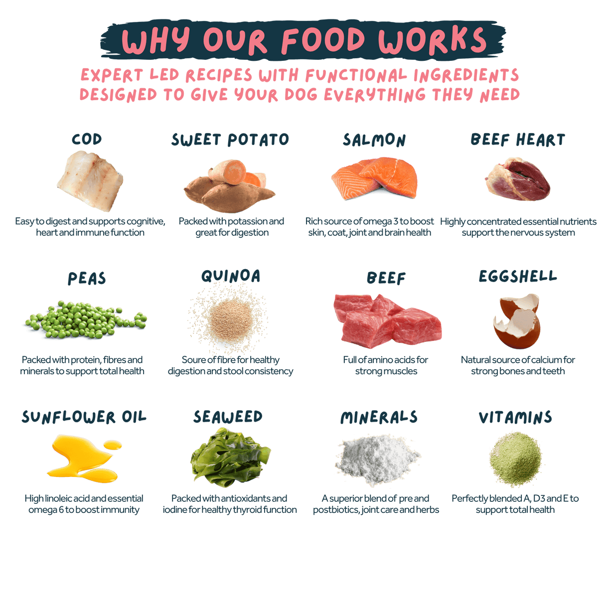 Wilsons Fish & Beef Fresh Dog Food