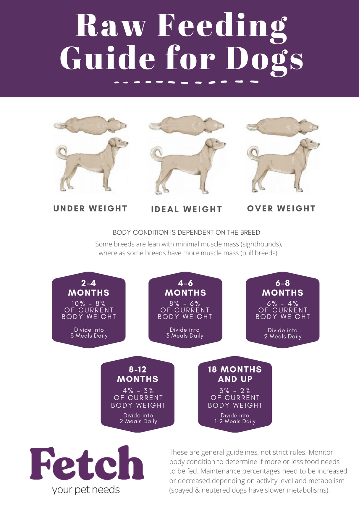 Raw Feeding Guide for Dogs from Fetch Your Pet Needs
