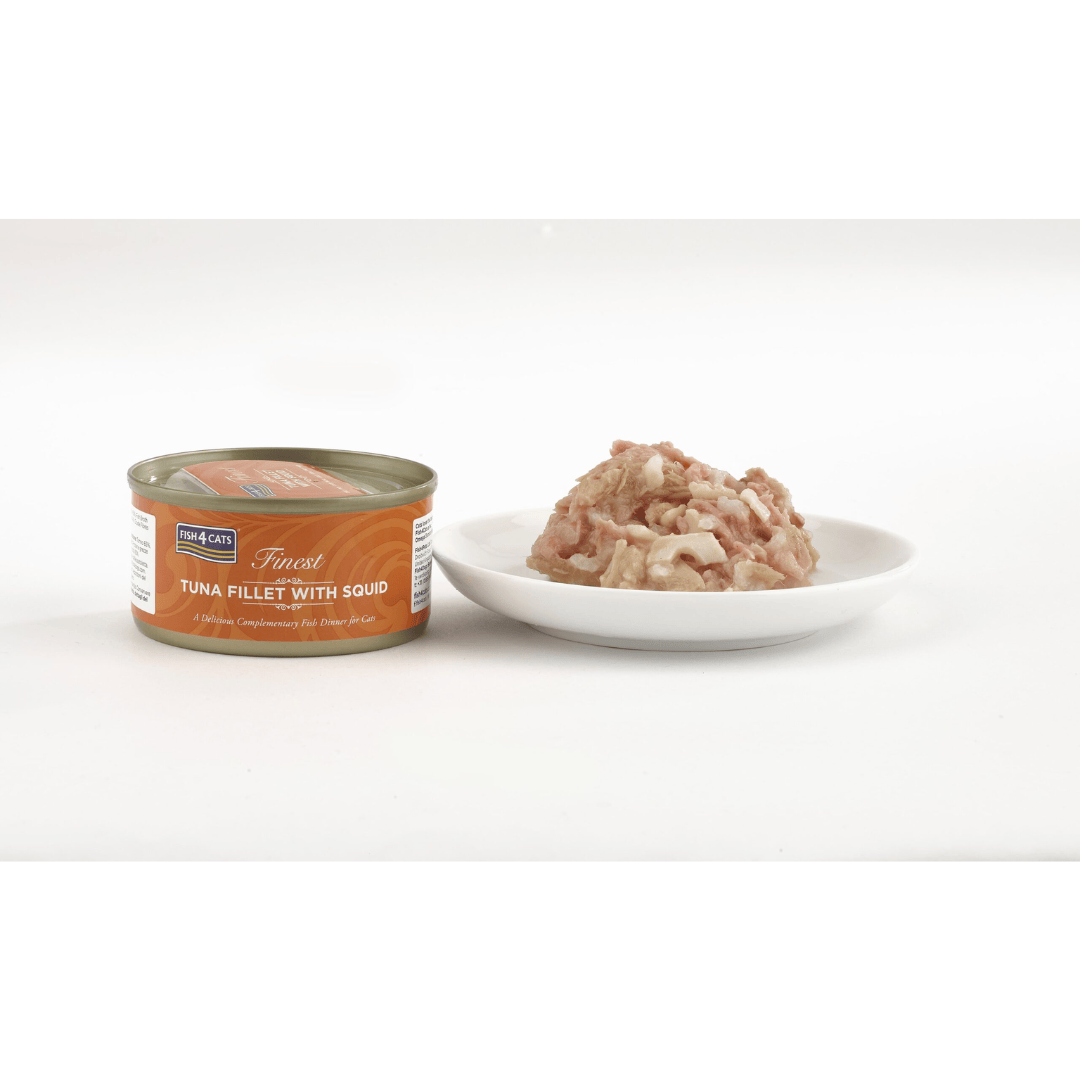 Can of tuna fillet with squid and a plate of it served alongside,  on a white background