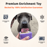 FreezBox Enrichment Toy For Pets