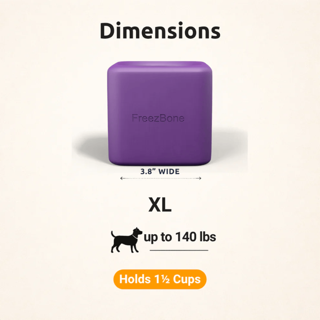 FreezBox Enrichment Toy For Pets