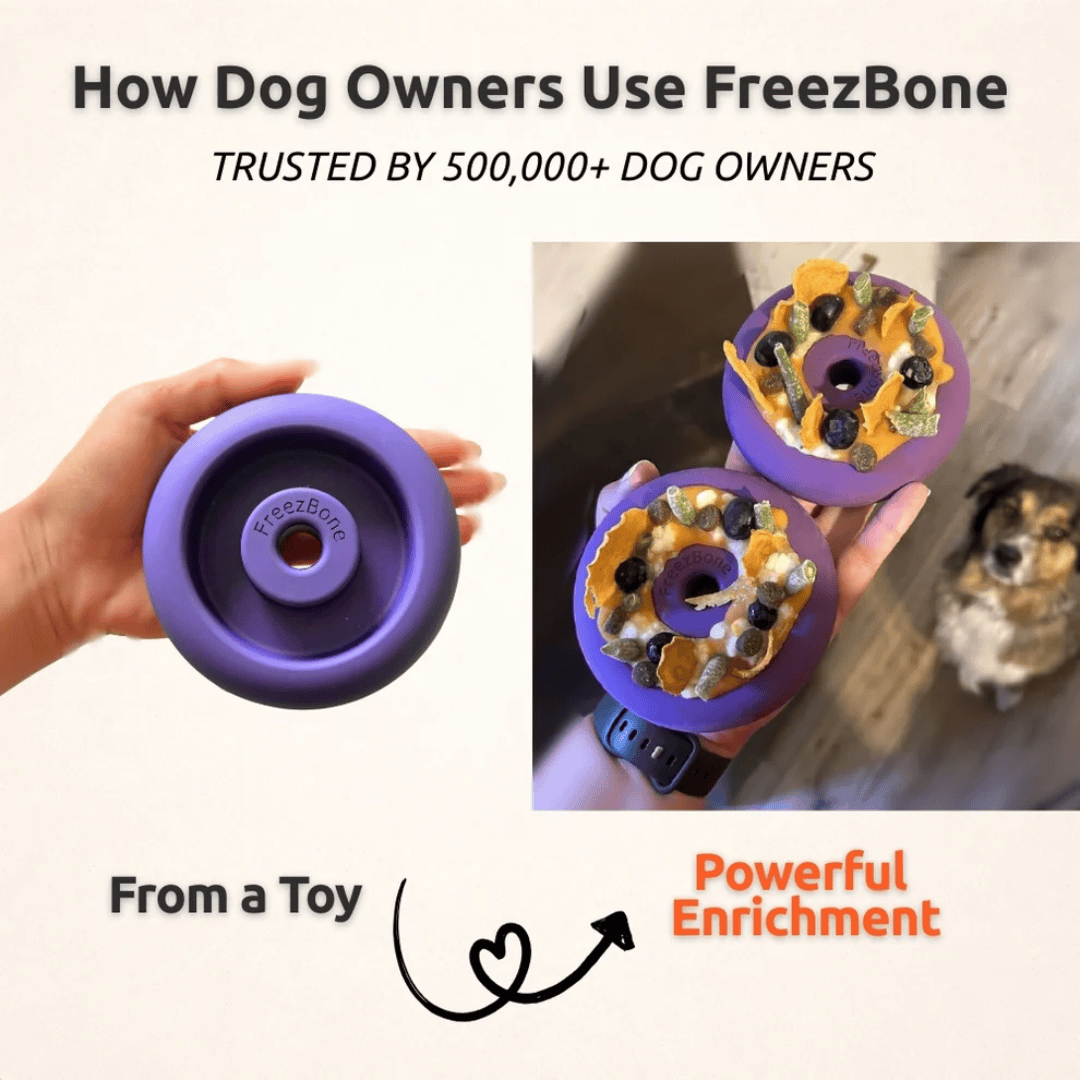 FreezDoughnut Enrichment Toy For Pets - Large