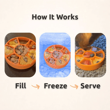 FreezWheel Enrichment Toy For Pets