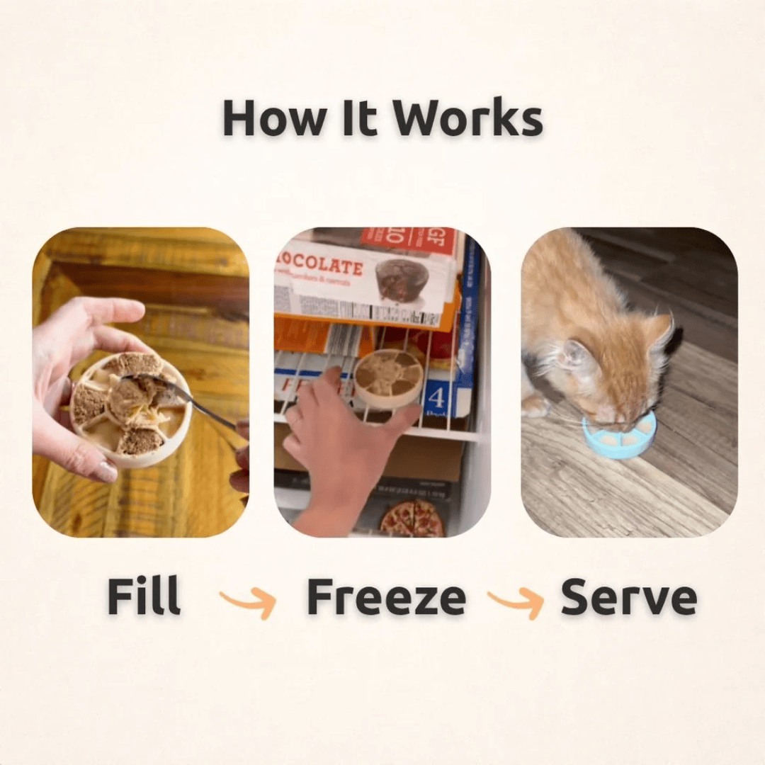 FreezSpin Enrichment Toy For Pets