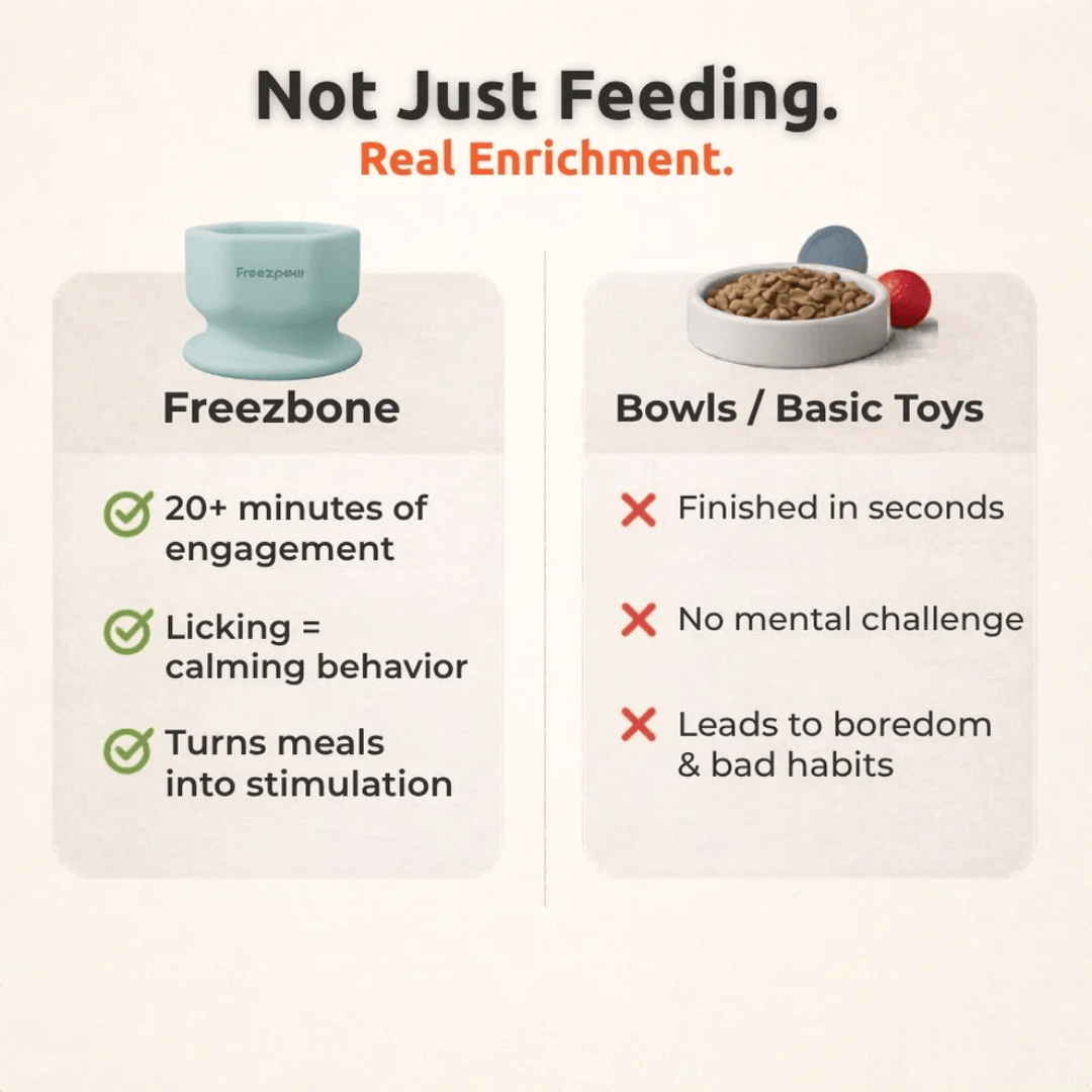 FreezSip Enrichment Toy For Pets